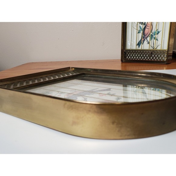 Set of two (2) Vintage Trompe L'oeil Style Framed Birds in Birdcage Brass Decor - Picture 10 of 11